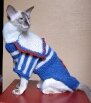 Вязаный свитер для кошки с воротником-капюшоном