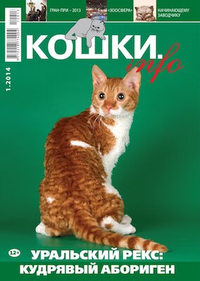 журнал о кошках